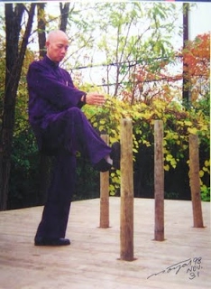 Wooden stumps or poles used for moving and kicking exercises.